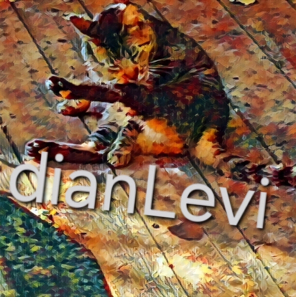 Meet your Posher, Dian - Picture 2 of 14